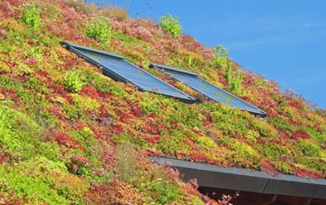 St Dympnas living roof systems