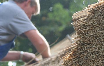 professional St Dympnas thatchers